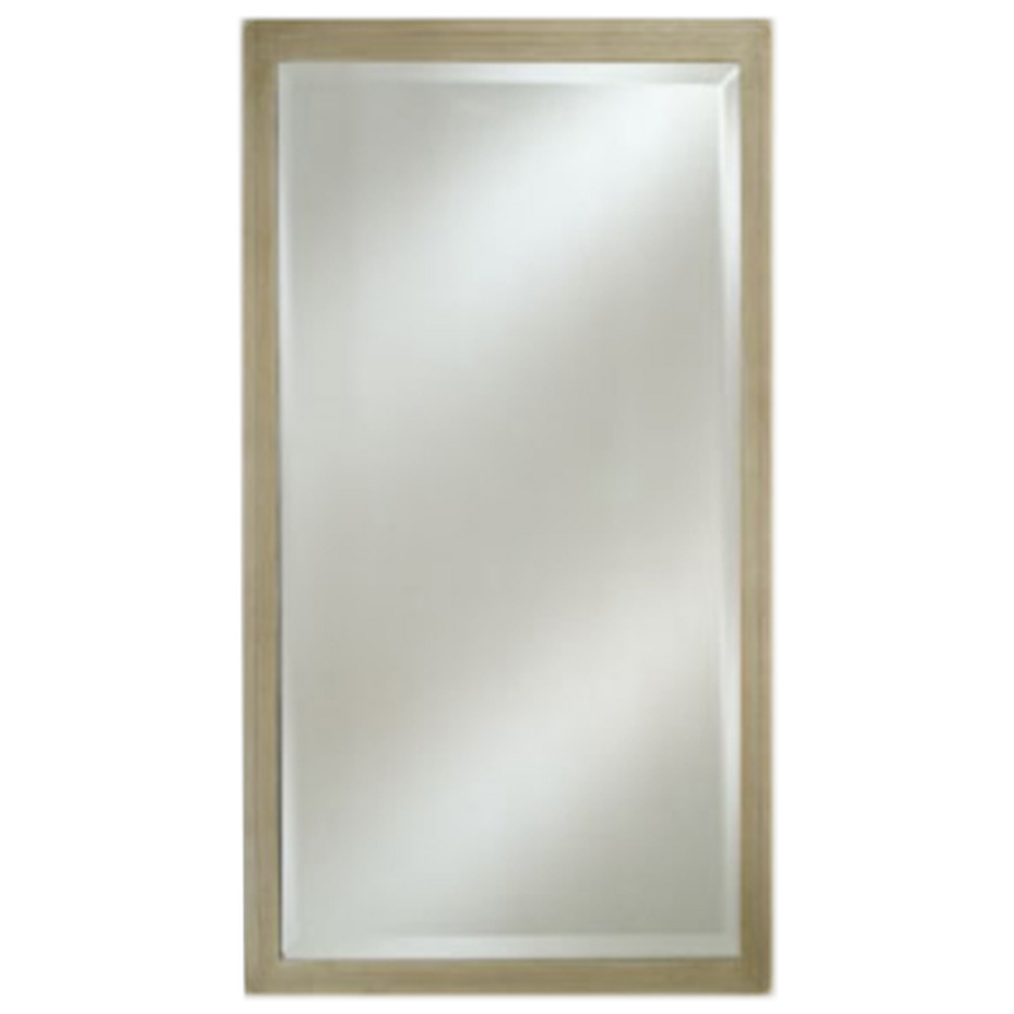 Afina Estate 20" x 26" Brushed Silver Distinctive Wood Framed With 1" Bevel Mirror