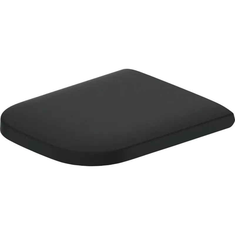 Duravit Happy D.2 17" x 14" Anthracite Toilet Seat (64591300)