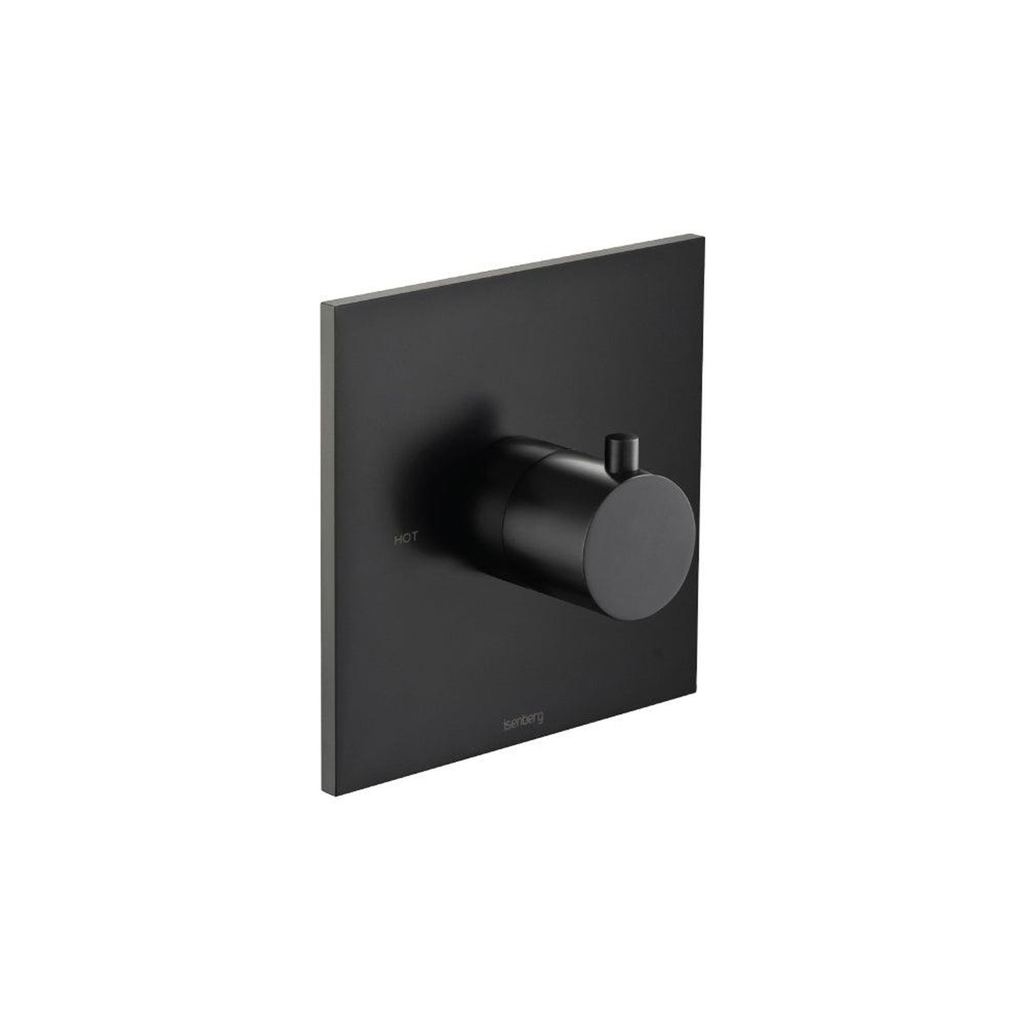 Flusso Faucets Serie 100 Single Output Trim for 3/4" Thermostatic Valve in Matte Black