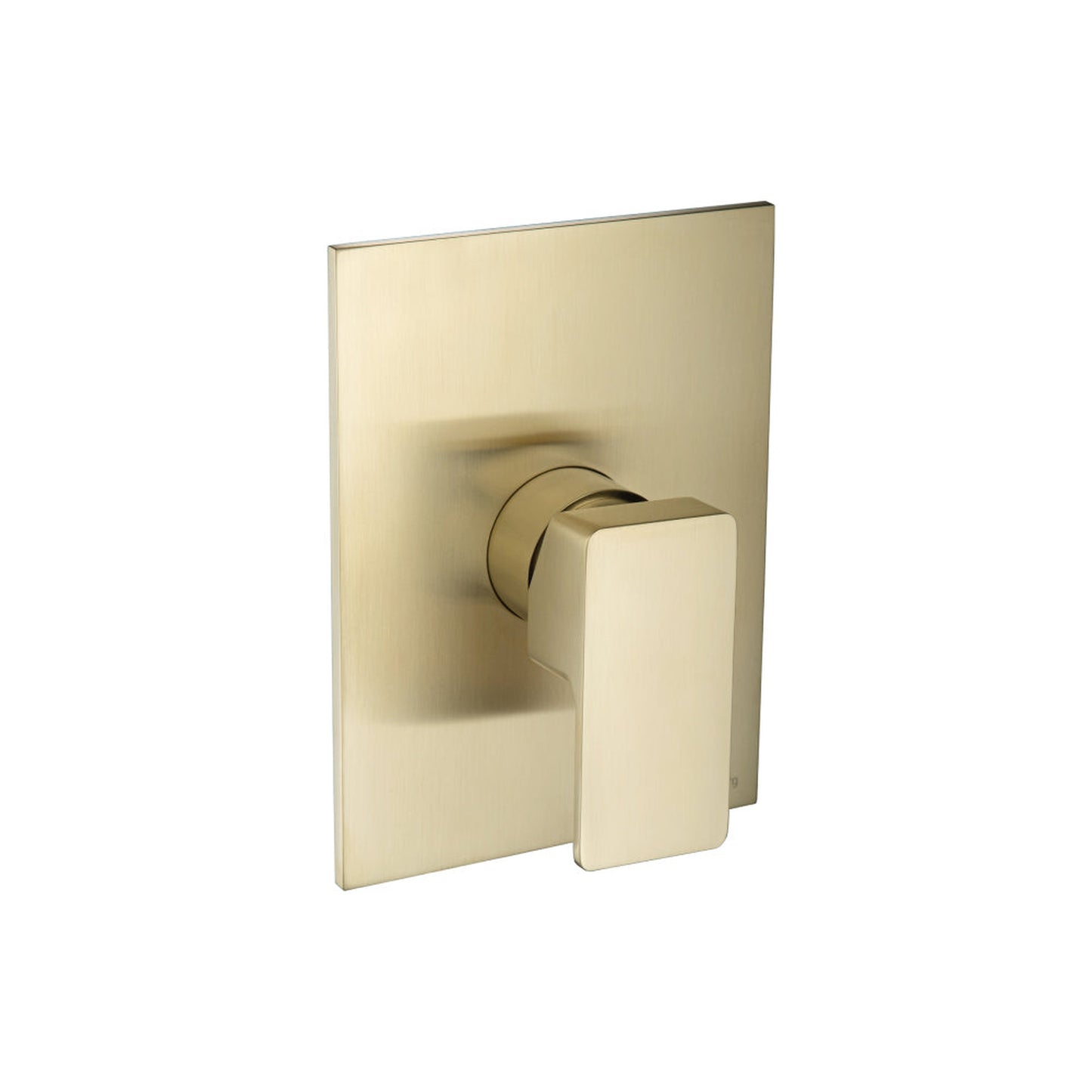 Flusso Faucets Serie 196 Single Output Shower Trim and Handle in Satin Brass