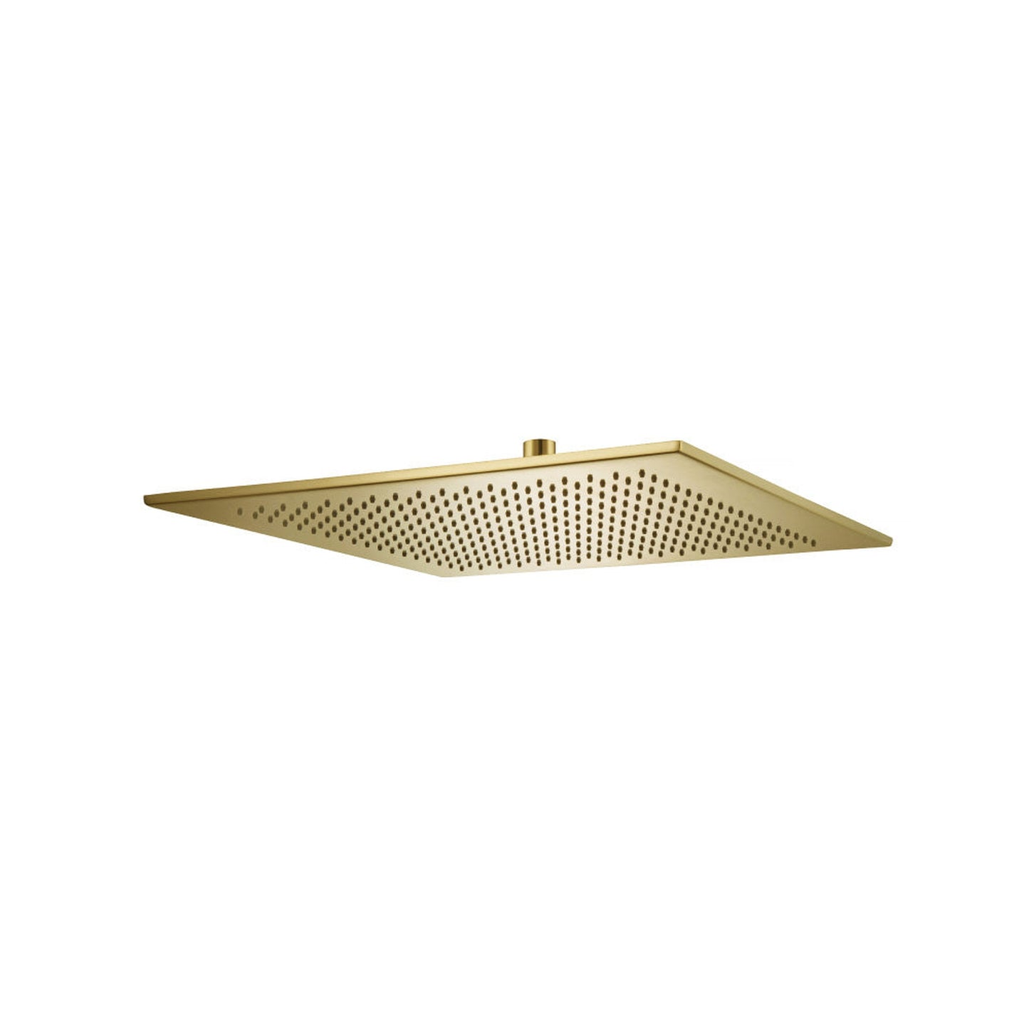 Flusso Faucets Universal Fixtures 16" Solid Brass Rain Shower Head in Satin Brass