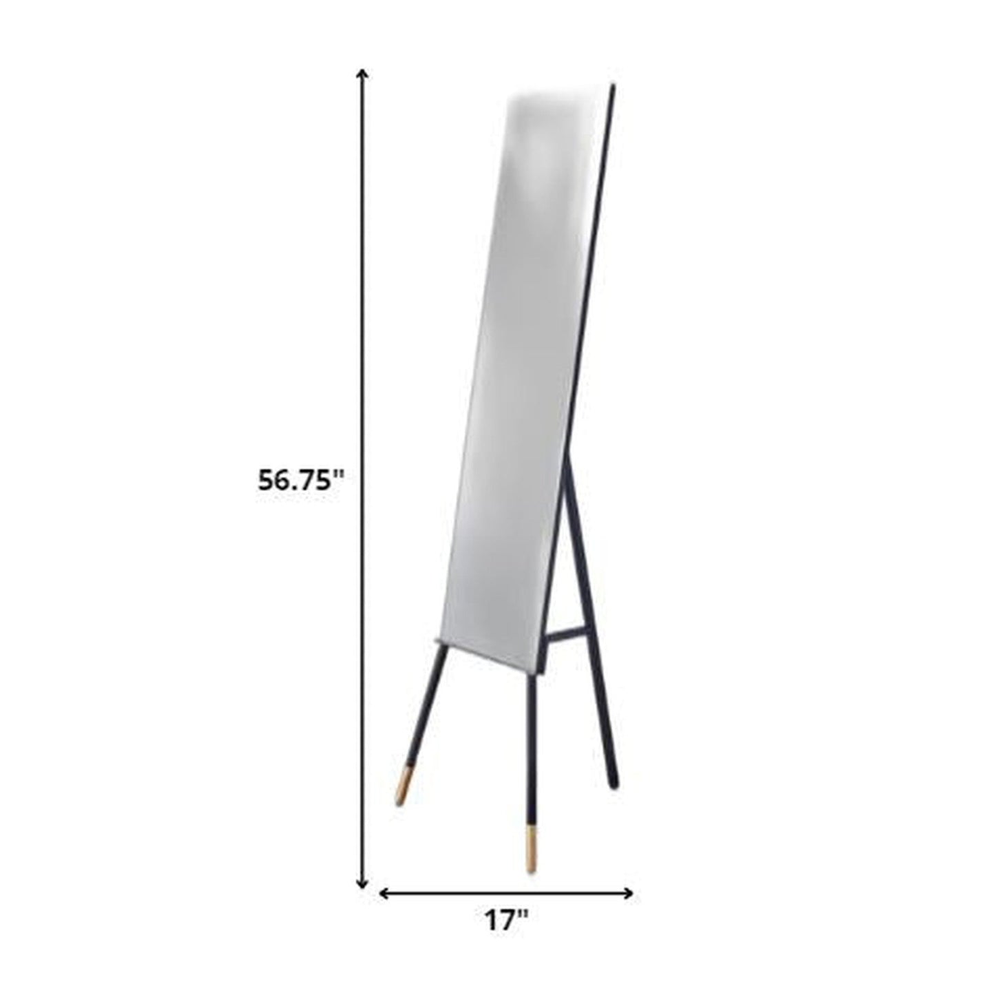 HomeRoots 17' x 17' x 56.75' Black Floor Mirror