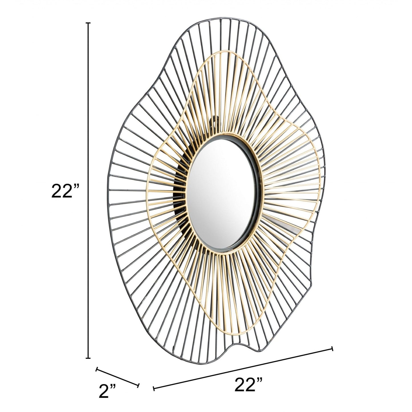 HomeRoots Black and Gold Contemporary Round Mirror