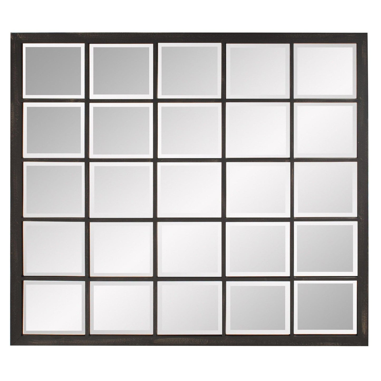 HomeRoots Rectangular Antique Black Finish Mirror with Beveled Edge