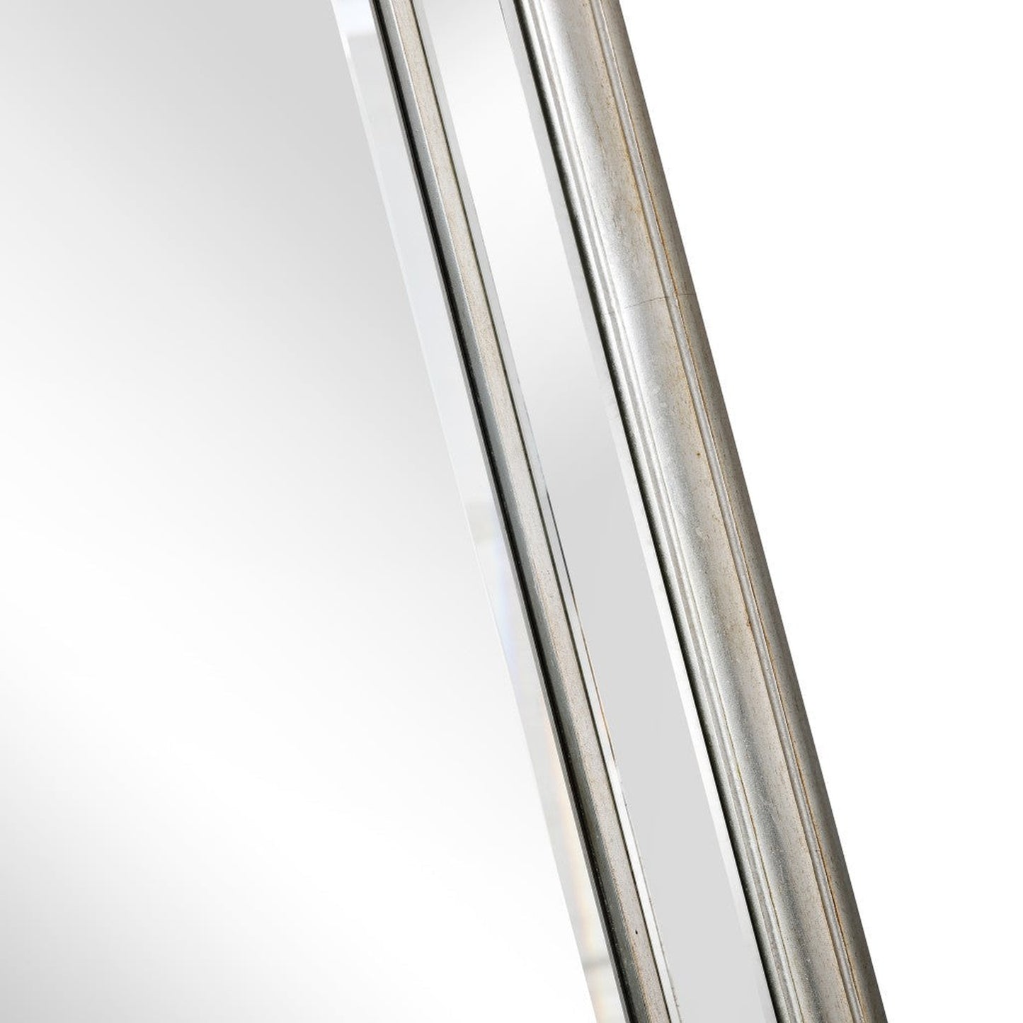 HomeRoots Silver Leaf Antiqued Mirror