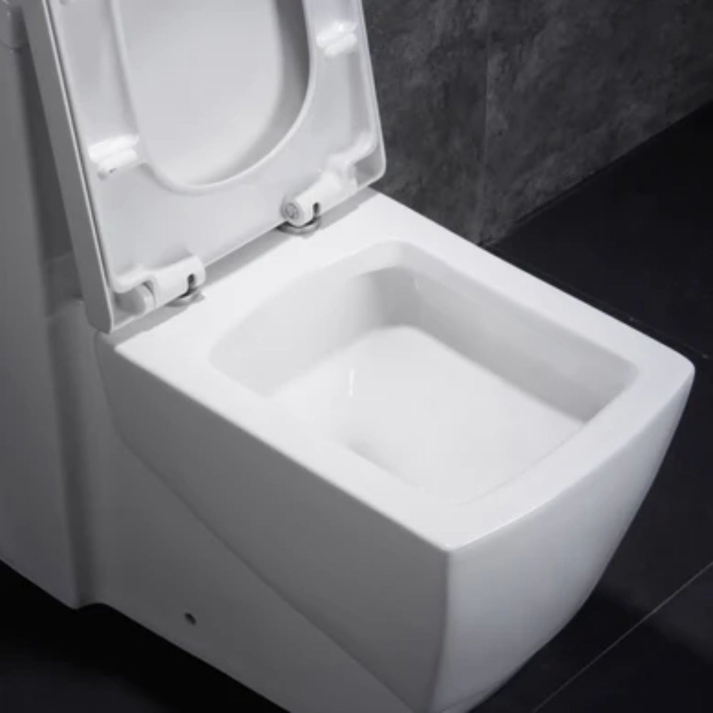 LessCare Dual Flush One Piece Modern Toilet