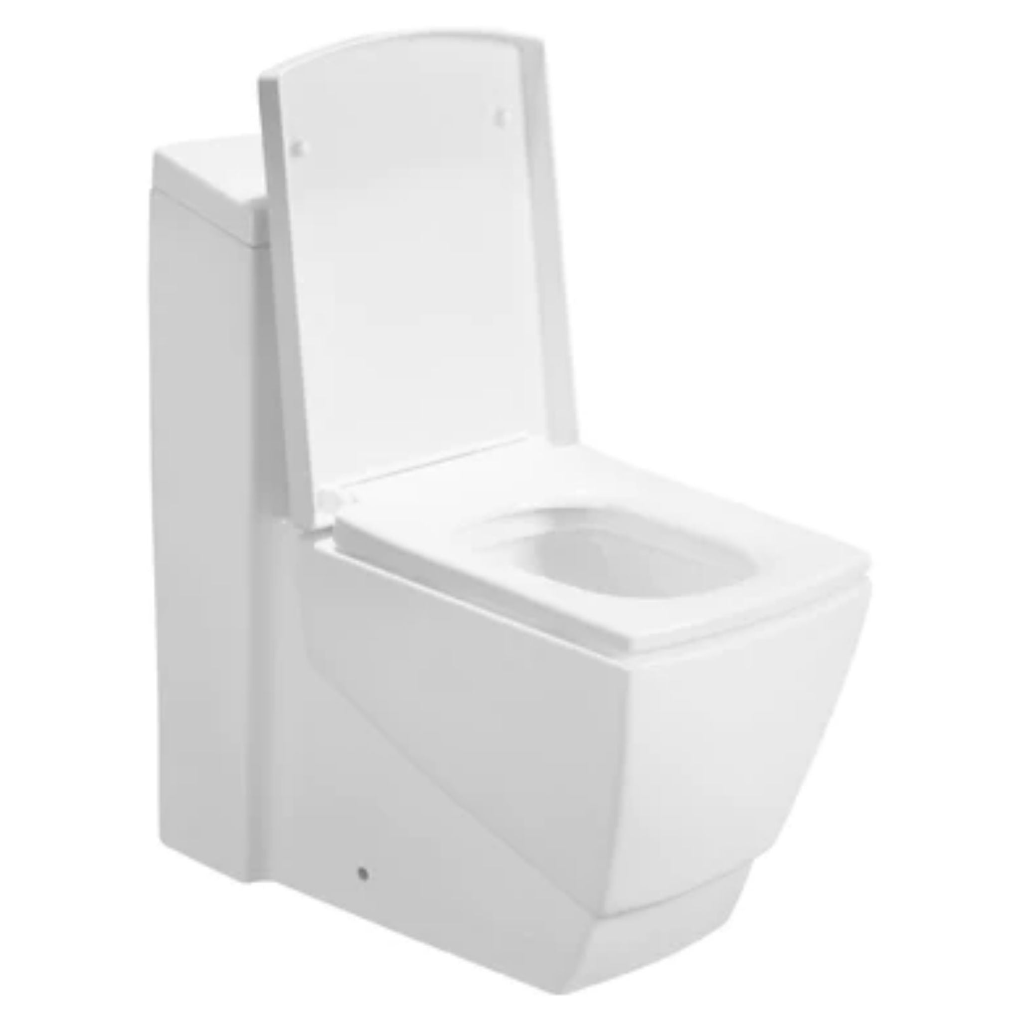 LessCare Dual Flush One Piece Modern Toilet US Bath Store