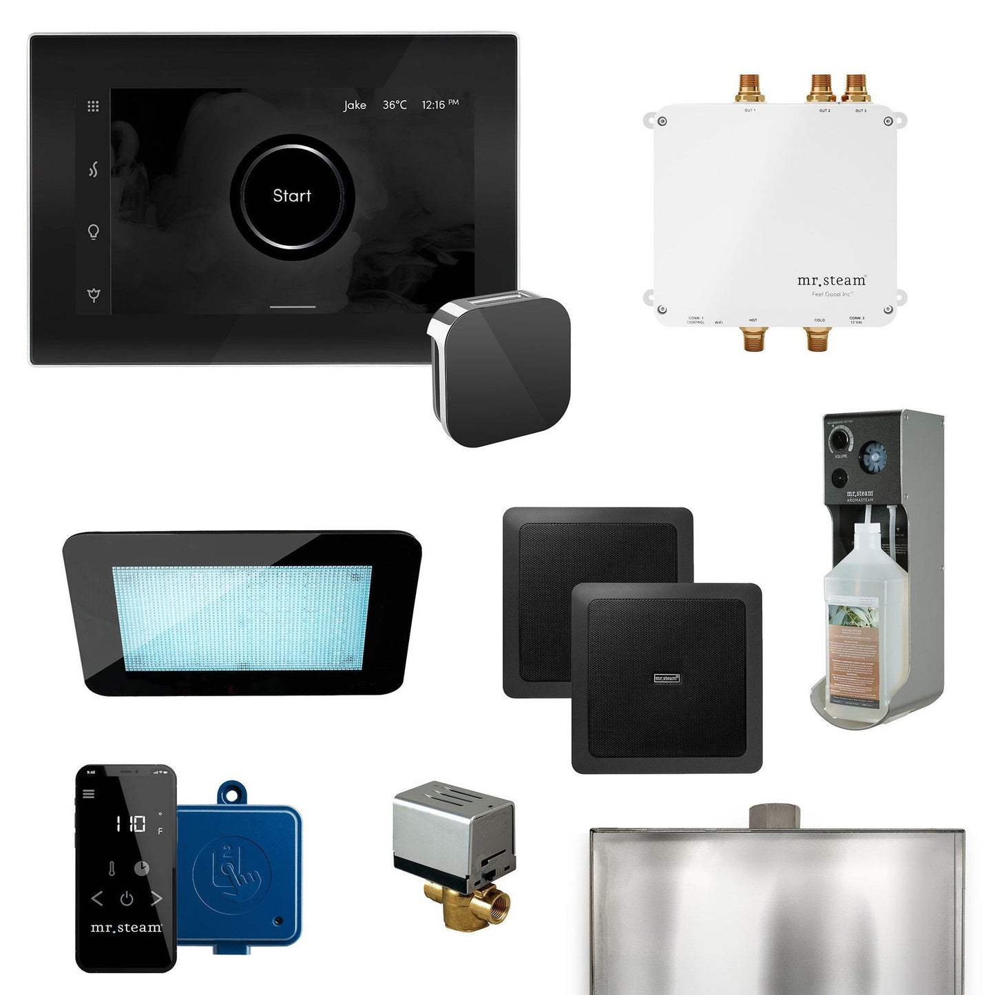 MrSteam Bliss 22" Programmable Steam Generator Control Kit With iSteamX Control and Aroma Glass Steamhead in Black Polished Chrome