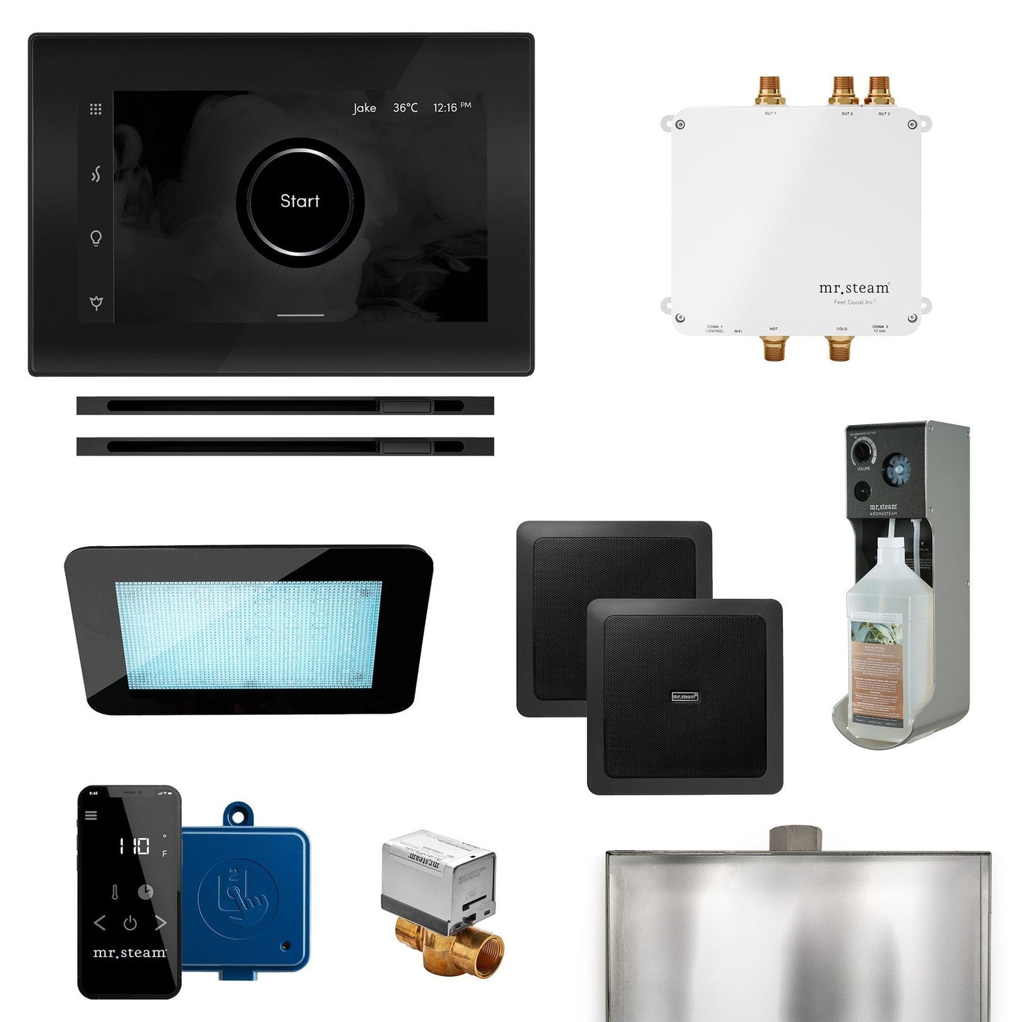 MrSteam Bliss Max 24" Linear Programmable Steam Generator Control Kit With iSteamX Control and Linear Steamhead in Black Matte Black