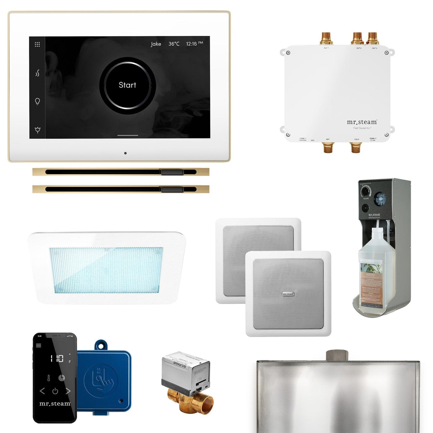 MrSteam Bliss Max 24" Linear Programmable Steam Generator Control Kit With iSteamX Control and Linear Steamhead in White Satin Brass