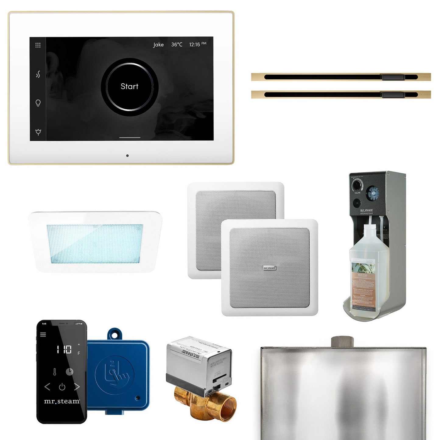 MrSteam XDream Max 24" Linear Programmable Steam Generator Control Kit With iSteamX Control and Linear Steamhead in White Satin Brass
