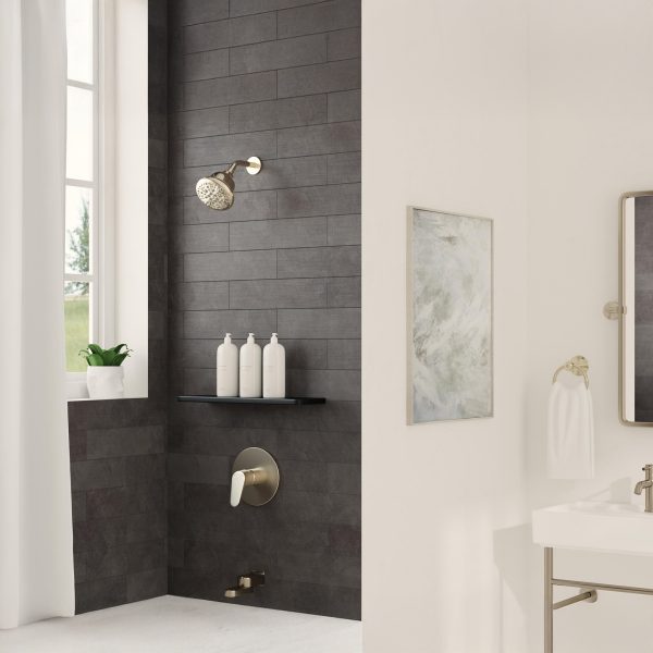 PULSE ShowerSpas PulsePure 2.5 GPM 7-Function Brushed Nickel Filtered Showerhead