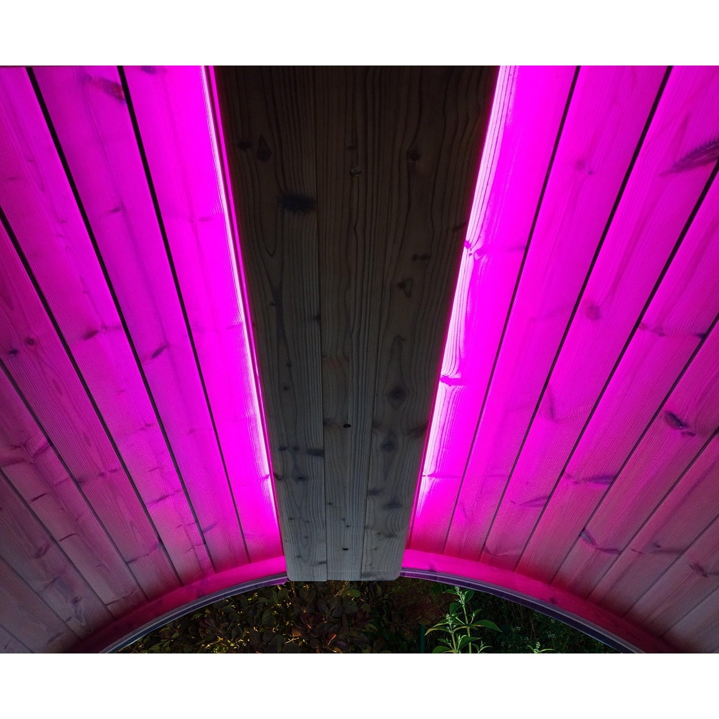 SaunaLife Emood Color LED Lighting for ERGO Sauna