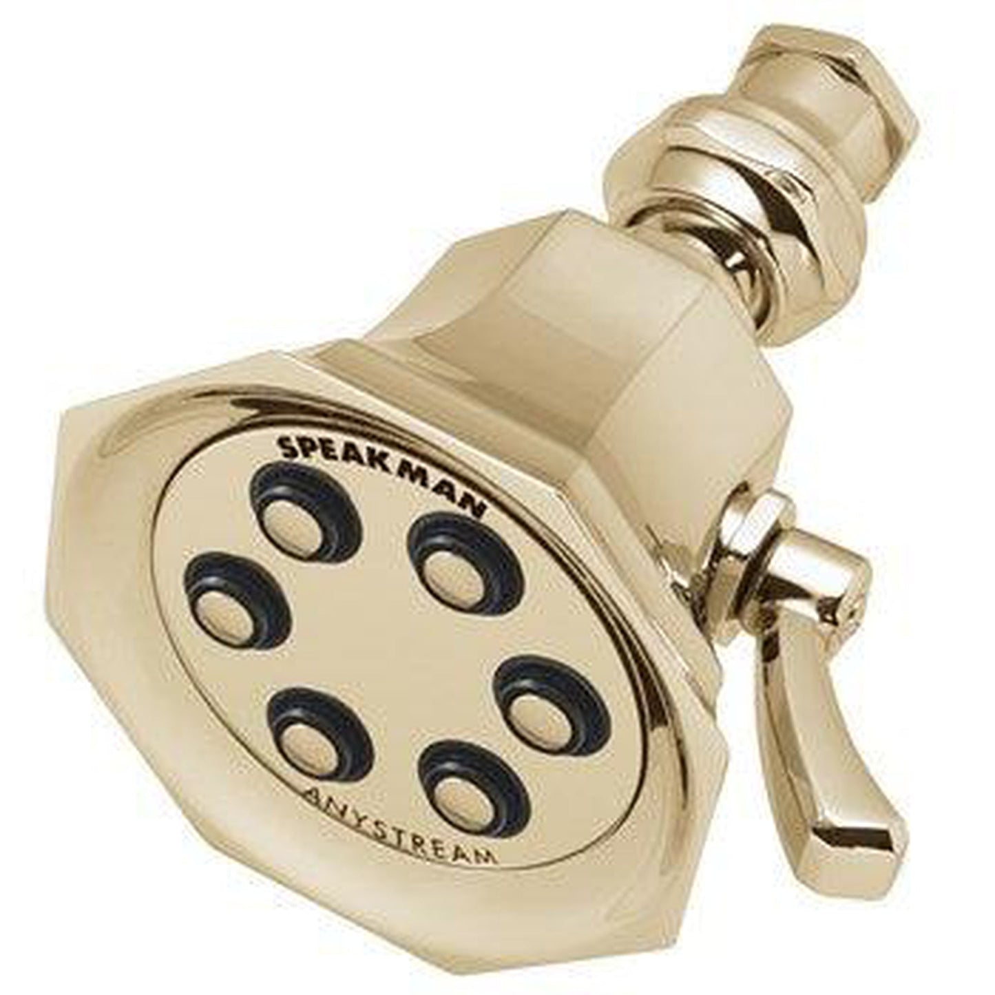 Speakman Vintage 2.0 GPM 6-Plunger Solid Brass Construction Polished Brass Shower Head