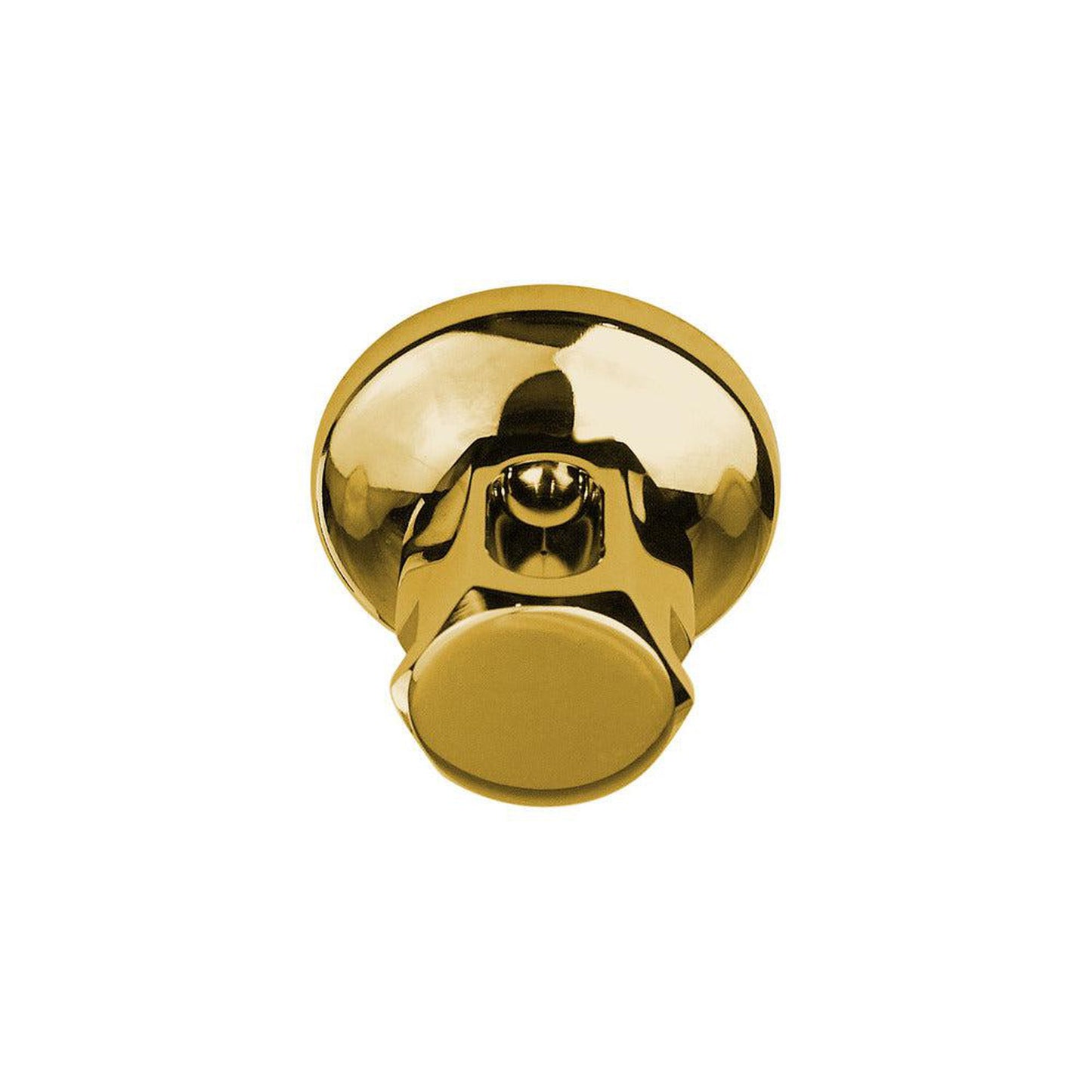 ThermaSol Polished Gold Finish Old Style Steam Head