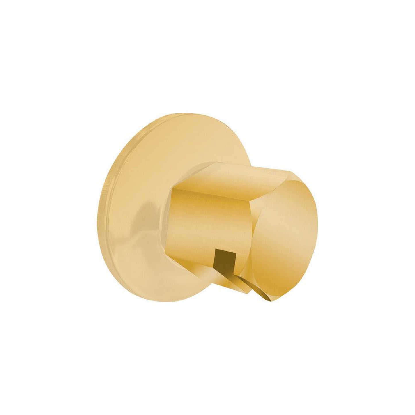 ThermaSol Polished Gold Finish Traditional Style Steam Head