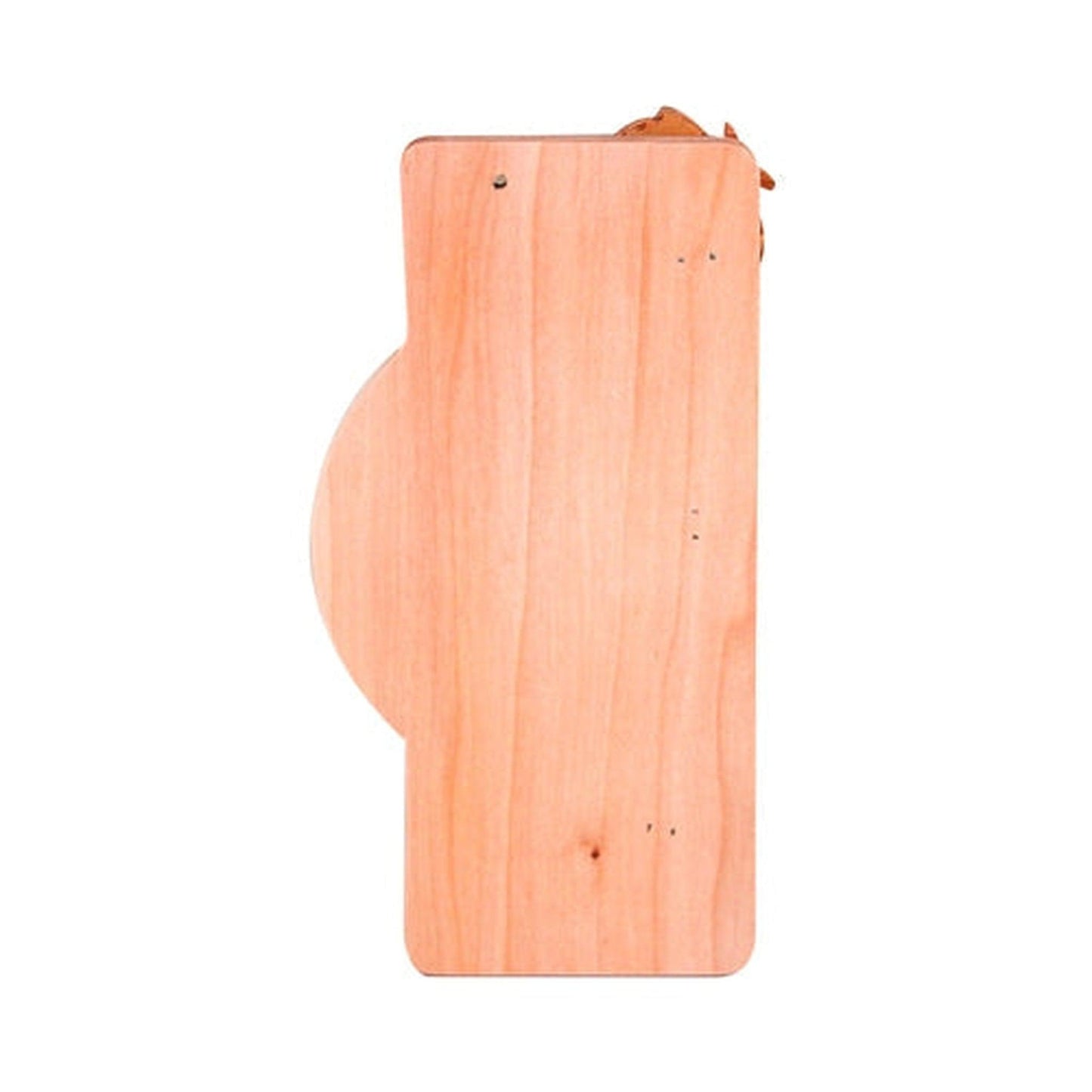 Aleko Coasts Wall-Mounted Sauna Thermometer in Fahrenheit in Pine Wood Finish