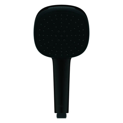 Grohe Tempesta 1.5 GPM 2-Spray Matte Black 110 Square Hand Shower