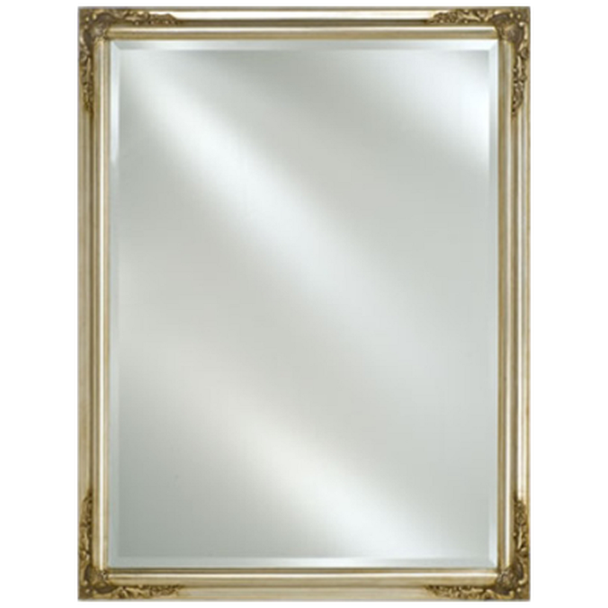 Afina Estate 24" x 30" Antique Silver Distinctive Wood Framed With 1" Bevel Mirror