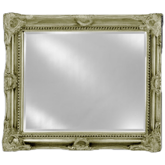 Afina Estate 28" x 34" Antique Silver Vanderbilt Royale Frame With 1" Bevel Mirror