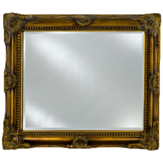 Afina Estate 51" x 40" Antique Burnished Gold Vanderbilt Royale Frame With 1" Bevel Mirror