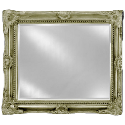 Afina Estate 51" x 40" Antique Silver Vanderbilt Royale Frame With 1" Bevel Mirror