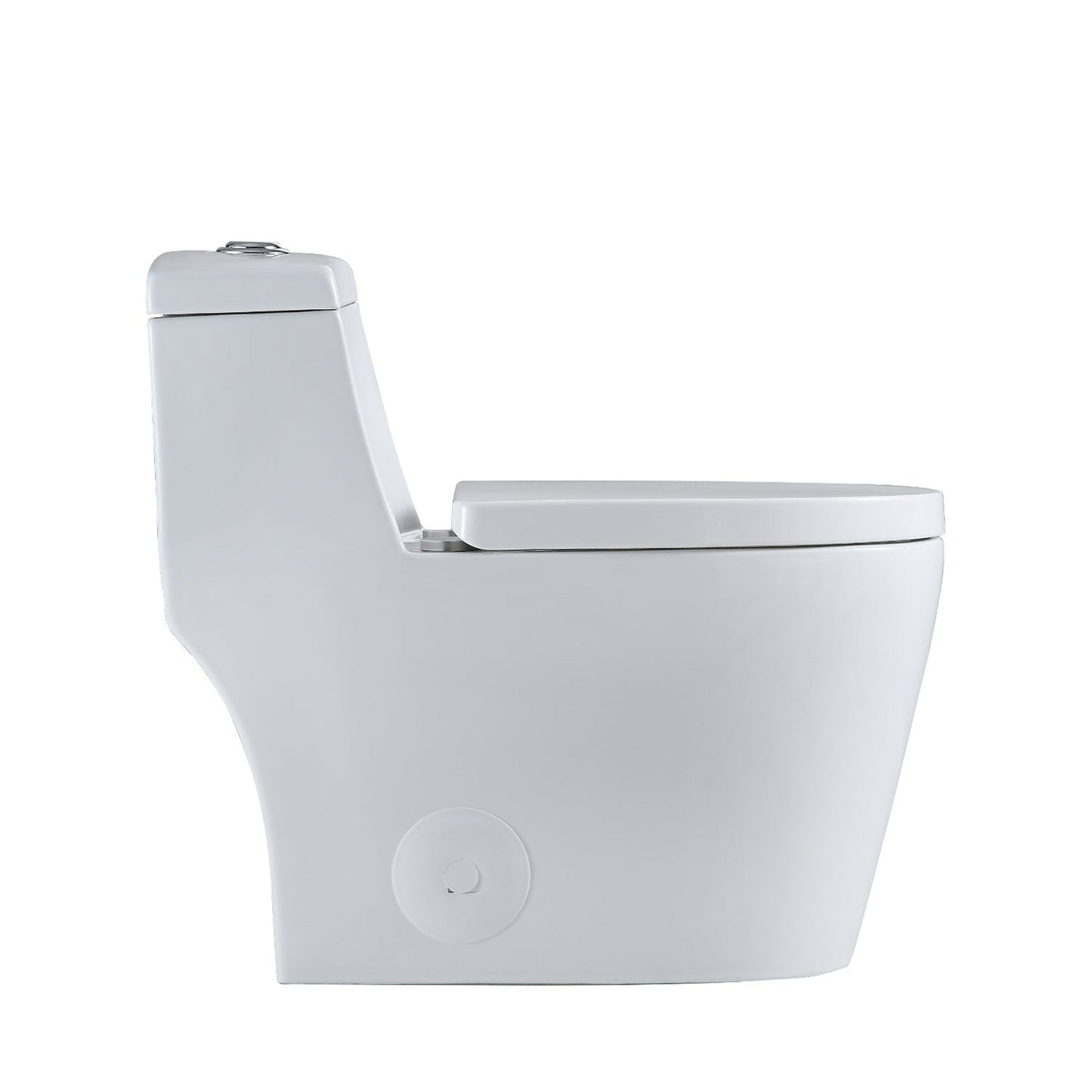 Altair Savona Elongated White Ceramic Dual Flush One-Piece Toilet With Seat