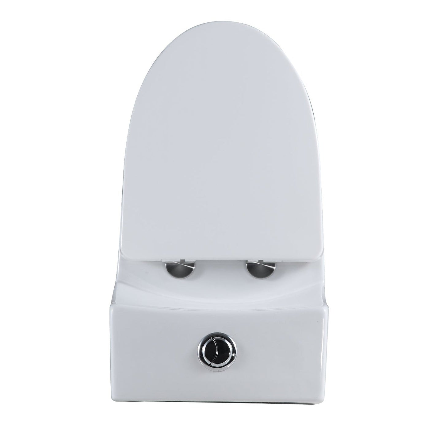 Altair Savona Elongated White Ceramic Dual Flush One-Piece Toilet With Seat