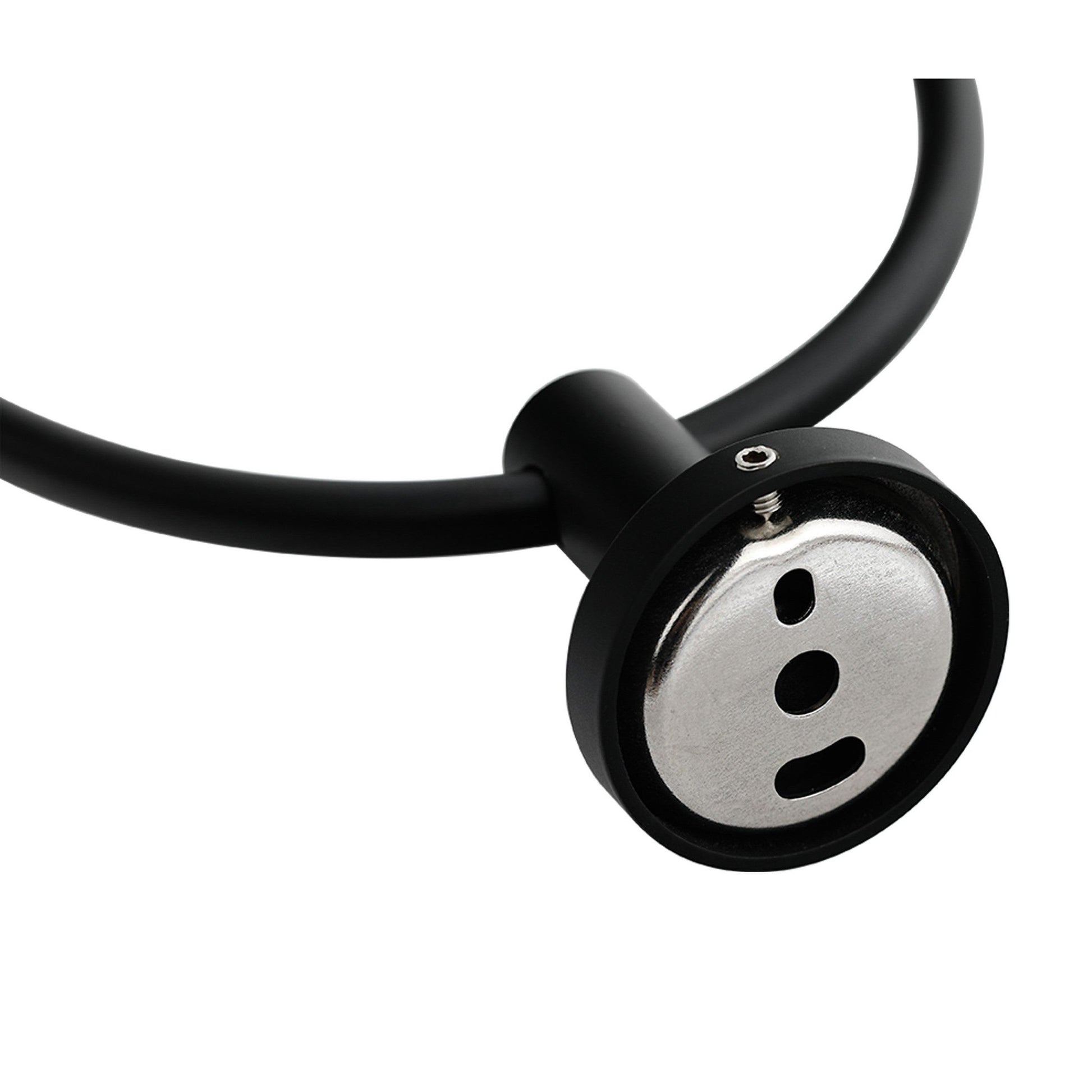 Bathlyn Elizabeth Set of 2 Matte Black Stainless Steel Wall Mounted Towel Ring