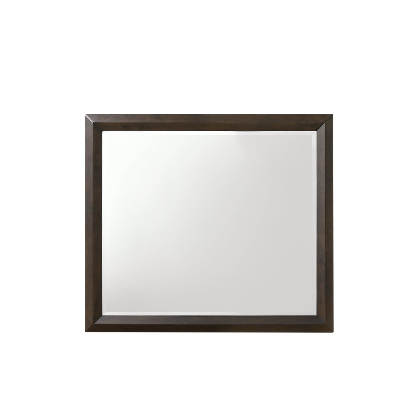 Benzara Brown and Silver Transition Style Wooden Mirror With Rectangular Shape