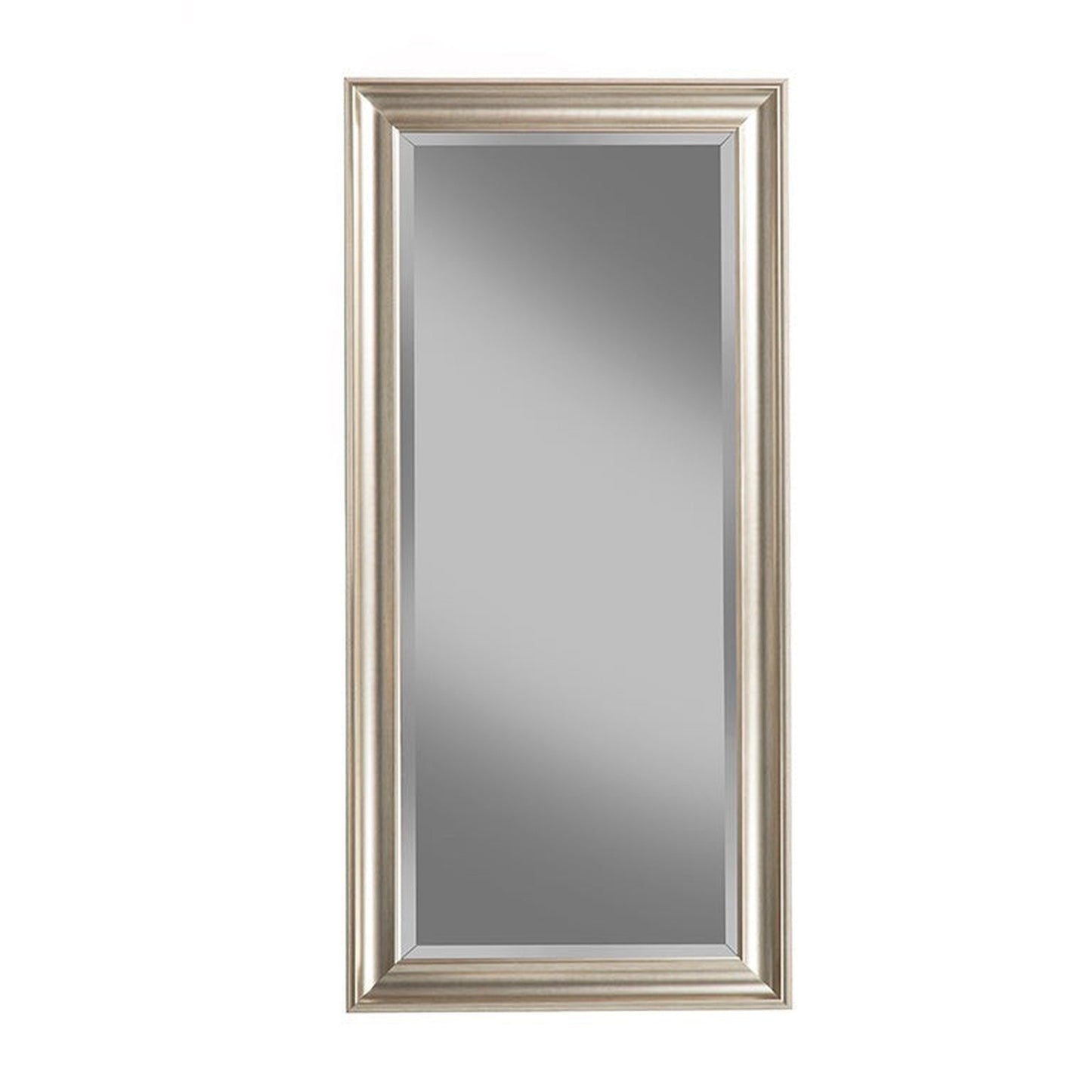 Benzara Champagne Silver Rectangular Polystyrene Frame Full Length Leaner Mirror