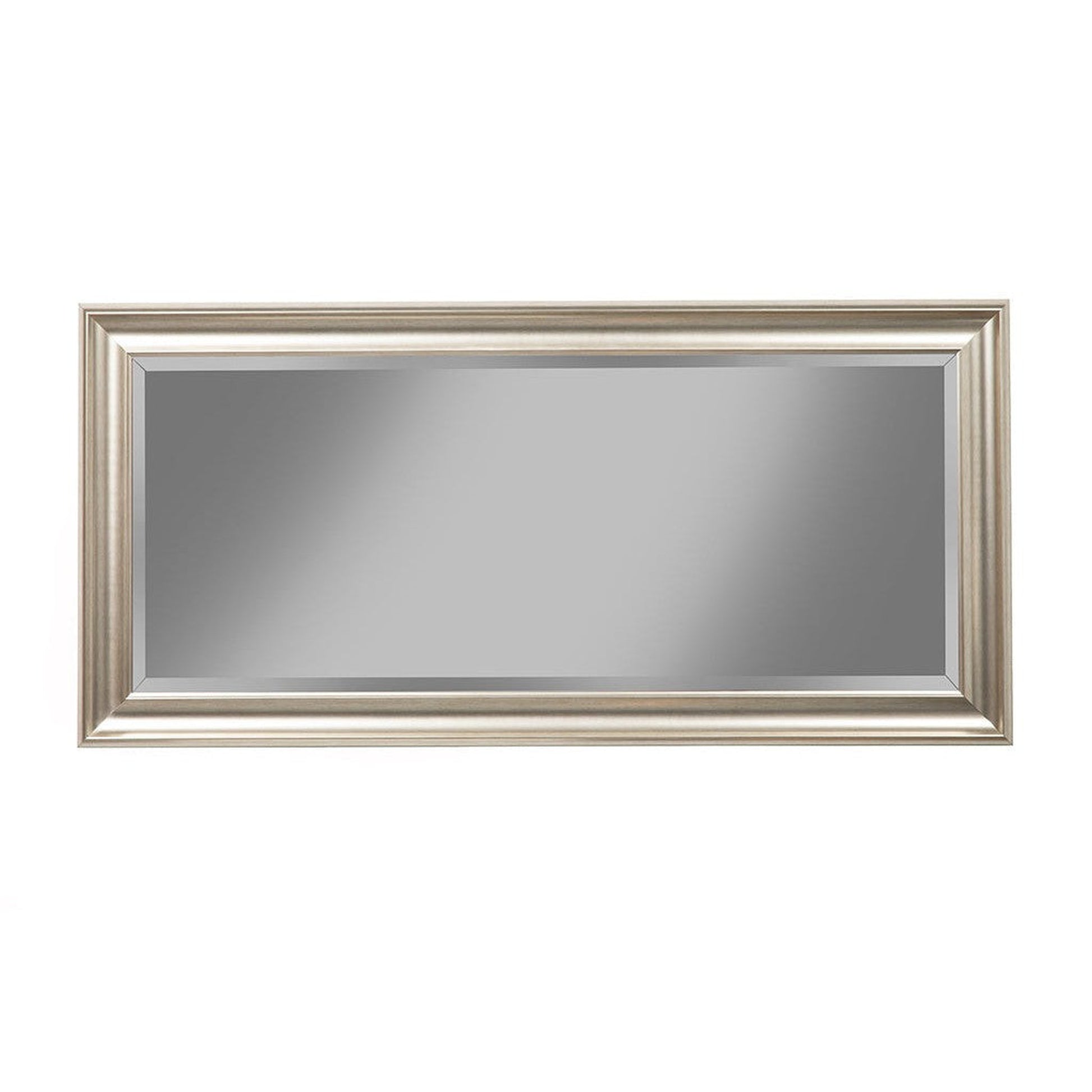 Benzara Champagne Silver Rectangular Polystyrene Frame Full Length Leaner Mirror