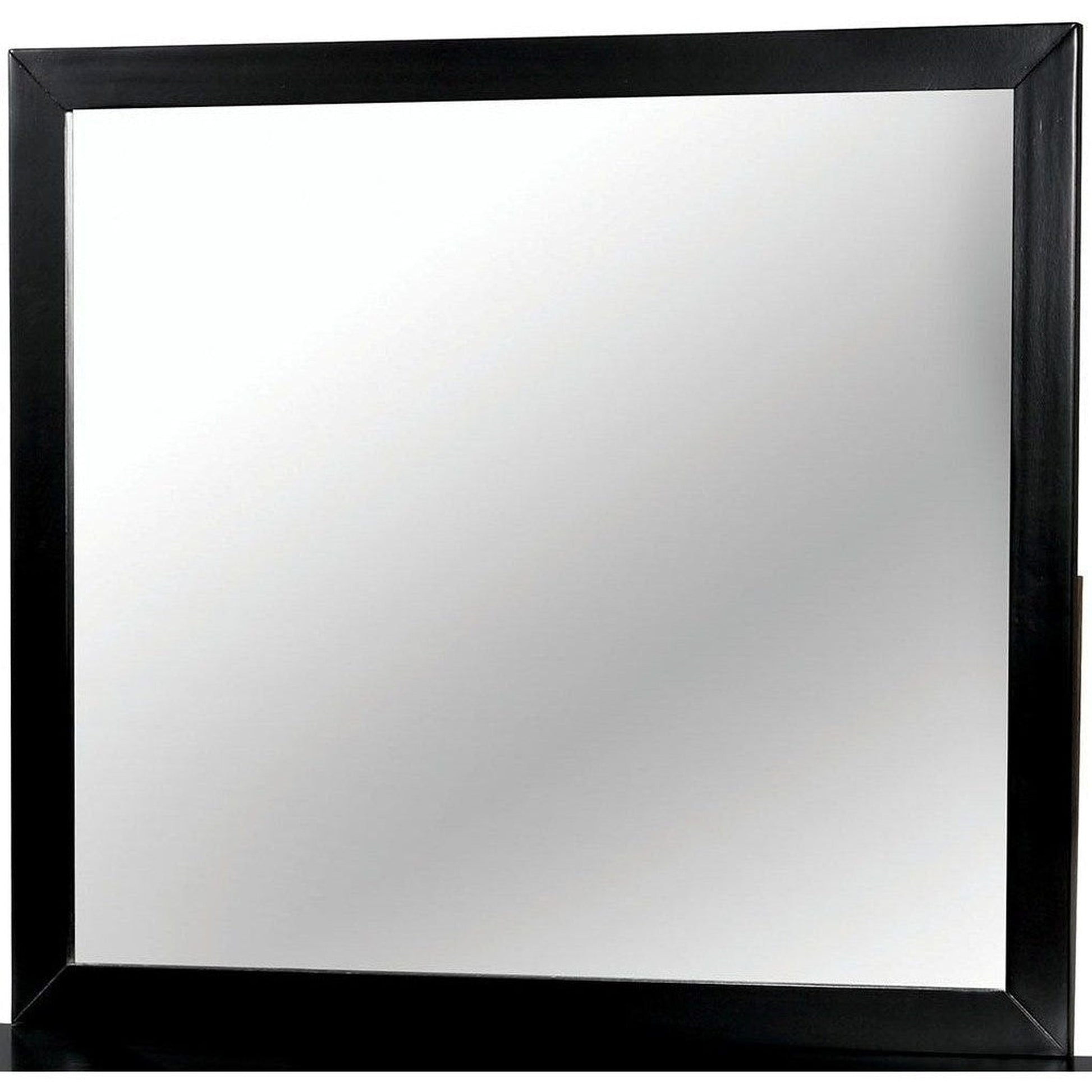 Benzara Lennart II Black Rectangular Wooden Framed Wall Mirror