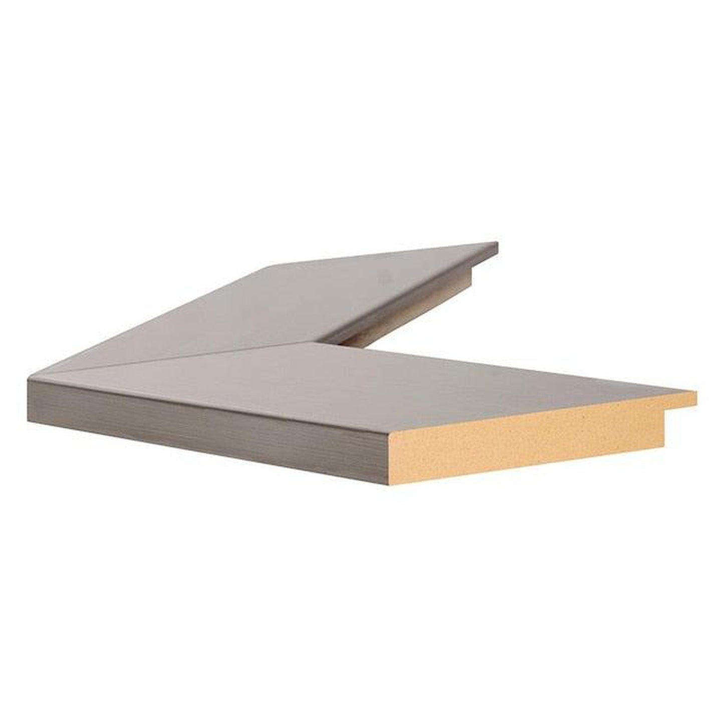 Brandtworks Modern 22" x 71" Silver Over the Door Mirror