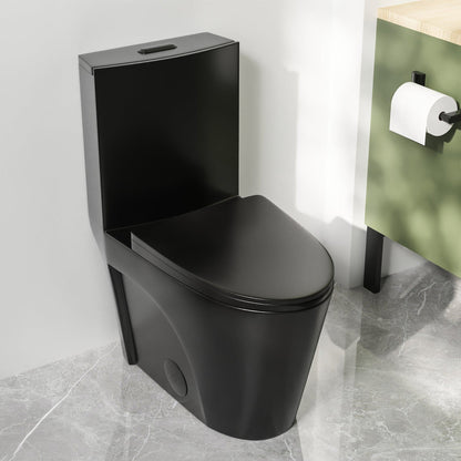 DeerValley Ace 28" Dual-Flush Elongated Black One-Piece Toilet With Soft Closing Seat