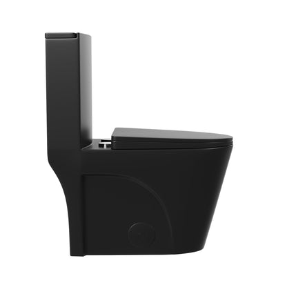 DeerValley Ace 28" Dual-Flush Elongated Black One-Piece Toilet With Soft Closing Seat