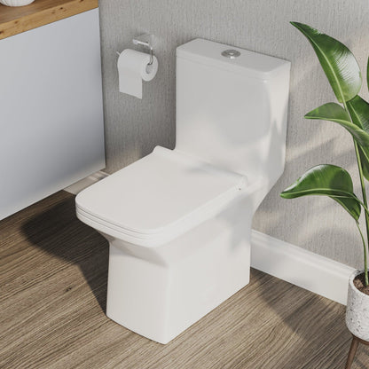 DeerValley Ace 30" Dual-Flush Rectangular White One-Piece Toilet With Soft Closing Seat