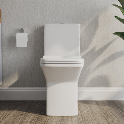 DeerValley Ace 30" Dual-Flush Rectangular White One-Piece Toilet With Soft Closing Seat