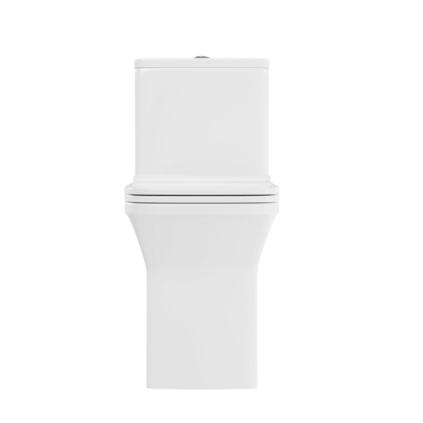 DeerValley Ace 30" Dual-Flush Rectangular White One-Piece Toilet With Soft Closing Seat