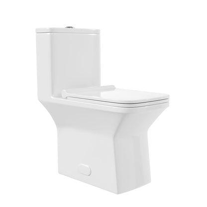 DeerValley Ace 30" Dual-Flush Rectangular White One-Piece Toilet With Soft Closing Seat