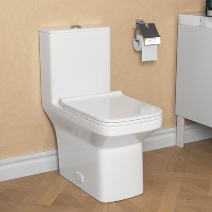 DeerValley Ace 31" H Dual-Flush Rectangular White One-Piece Toilet With Soft Closing Seat