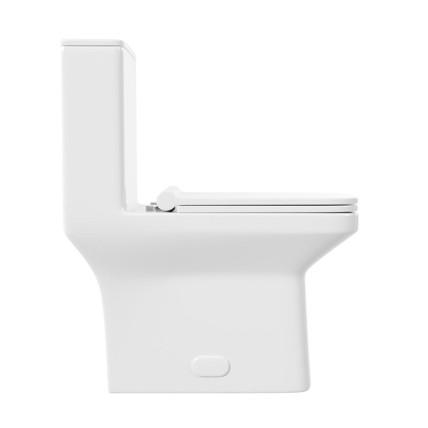 DeerValley Ace 31" H Dual-Flush Rectangular White One-Piece Toilet With Soft Closing Seat