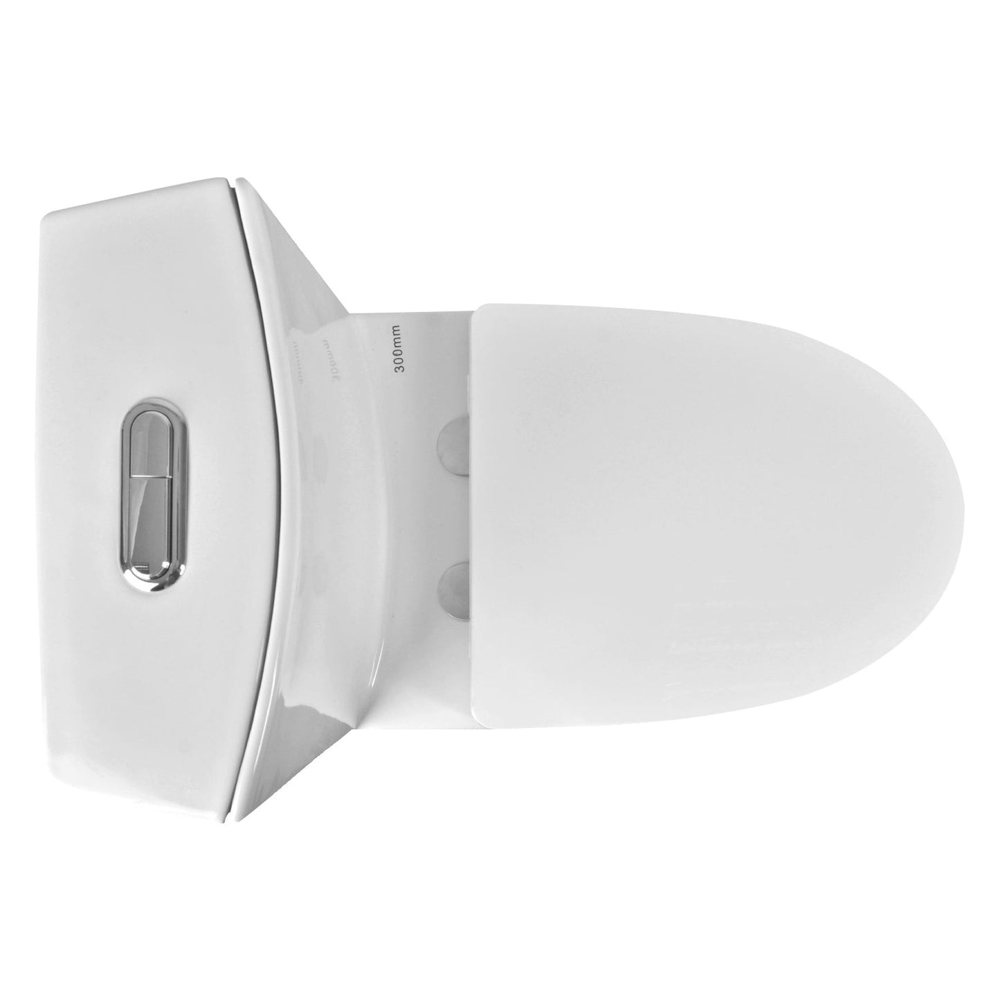 DeerValley Ace DV-1F52102 1.6 GPF Dual-Flush Elongated White One-Piece Toilet