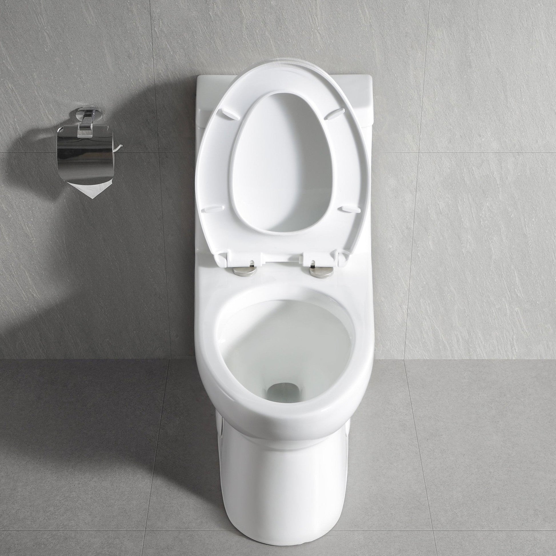 DeerValley Ally 14" x 30" Dual-Flush Elongated White Ceramic One-Piece Toilet