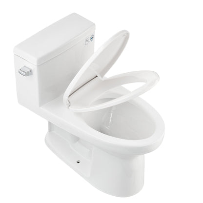 DeerValley Concord 12" Rough-in Single-Flush Elongated White One-Piece Toilet With Soft Closing Seat