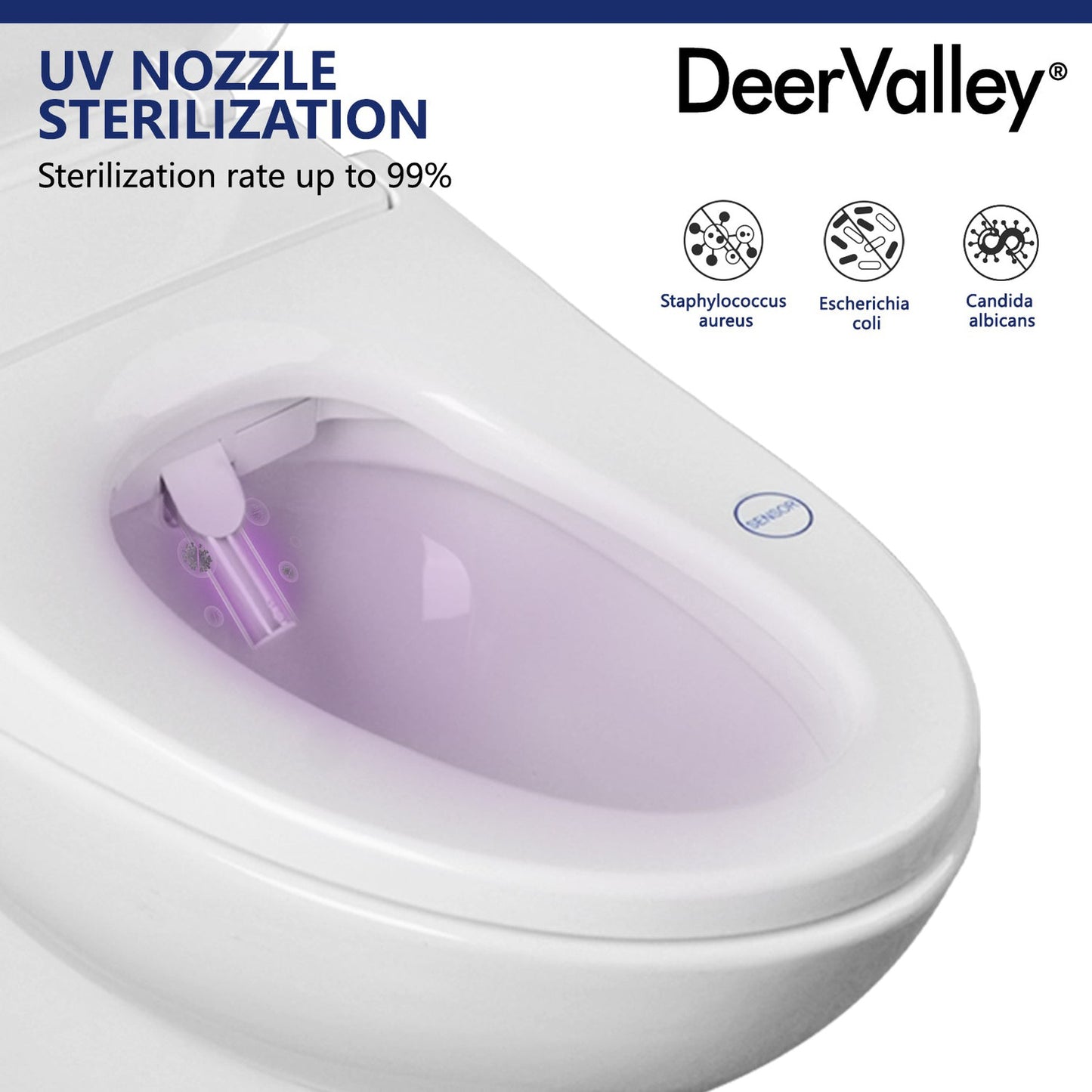 DeerValley Elongated White Bidet Toilet Seat With Wireless Remote