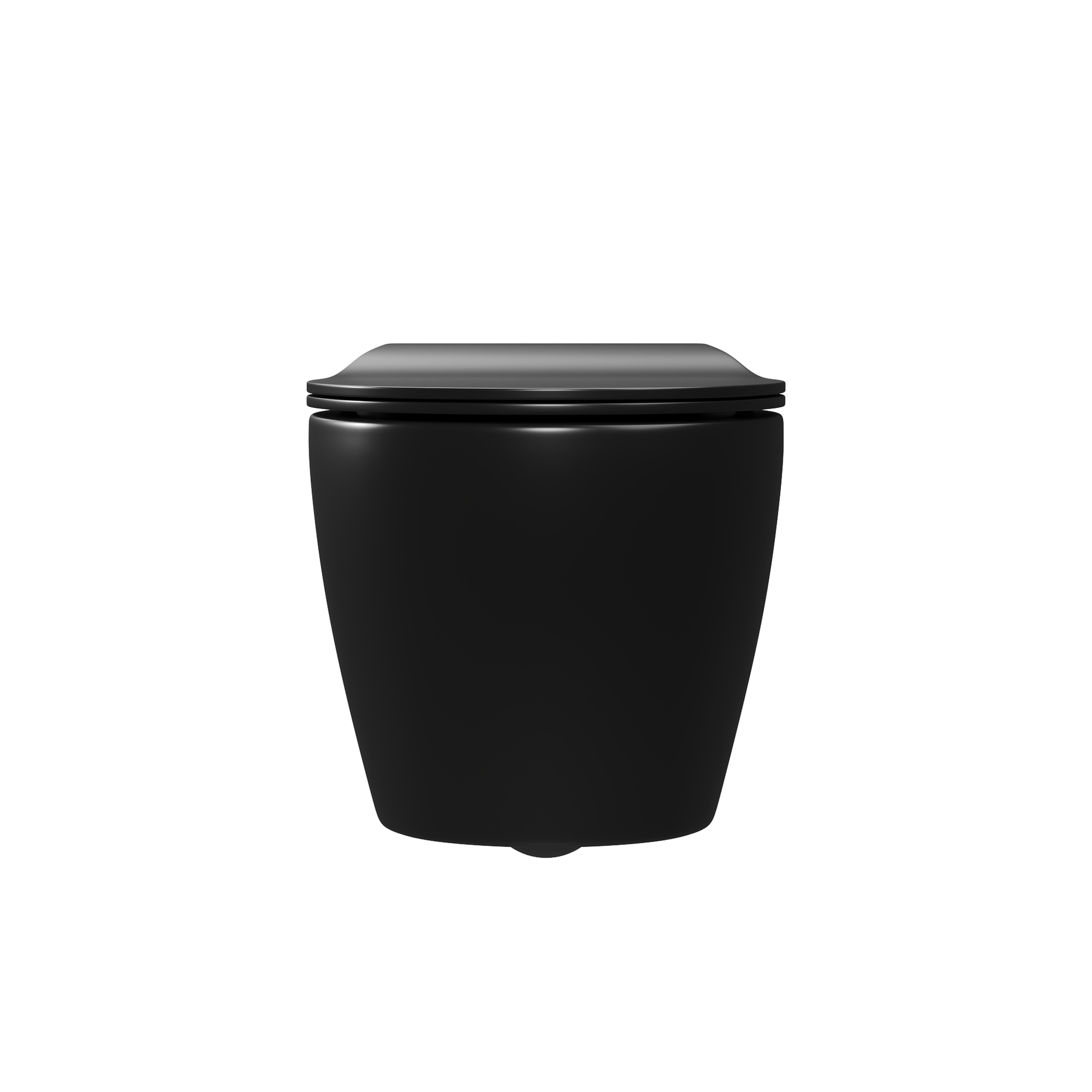 DeerValley Liberty 1.1/1.6GPF Dual-Flush Elongated Black Wall-Mounted Toilet