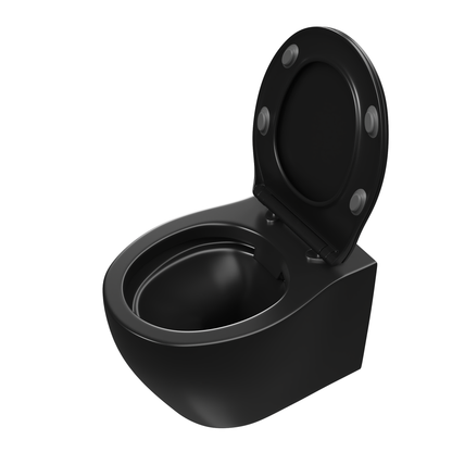 DeerValley Liberty 1.1/1.6GPF Dual-Flush Elongated Black Wall-Mounted Toilet With Concealed In-Wall Toilet Tank