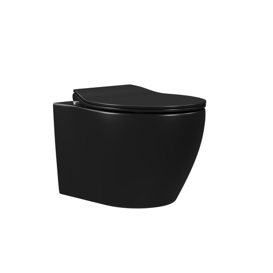 DeerValley Liberty 1.1/1.6GPF Dual-Flush Elongated Black Wall-Mounted Toilet