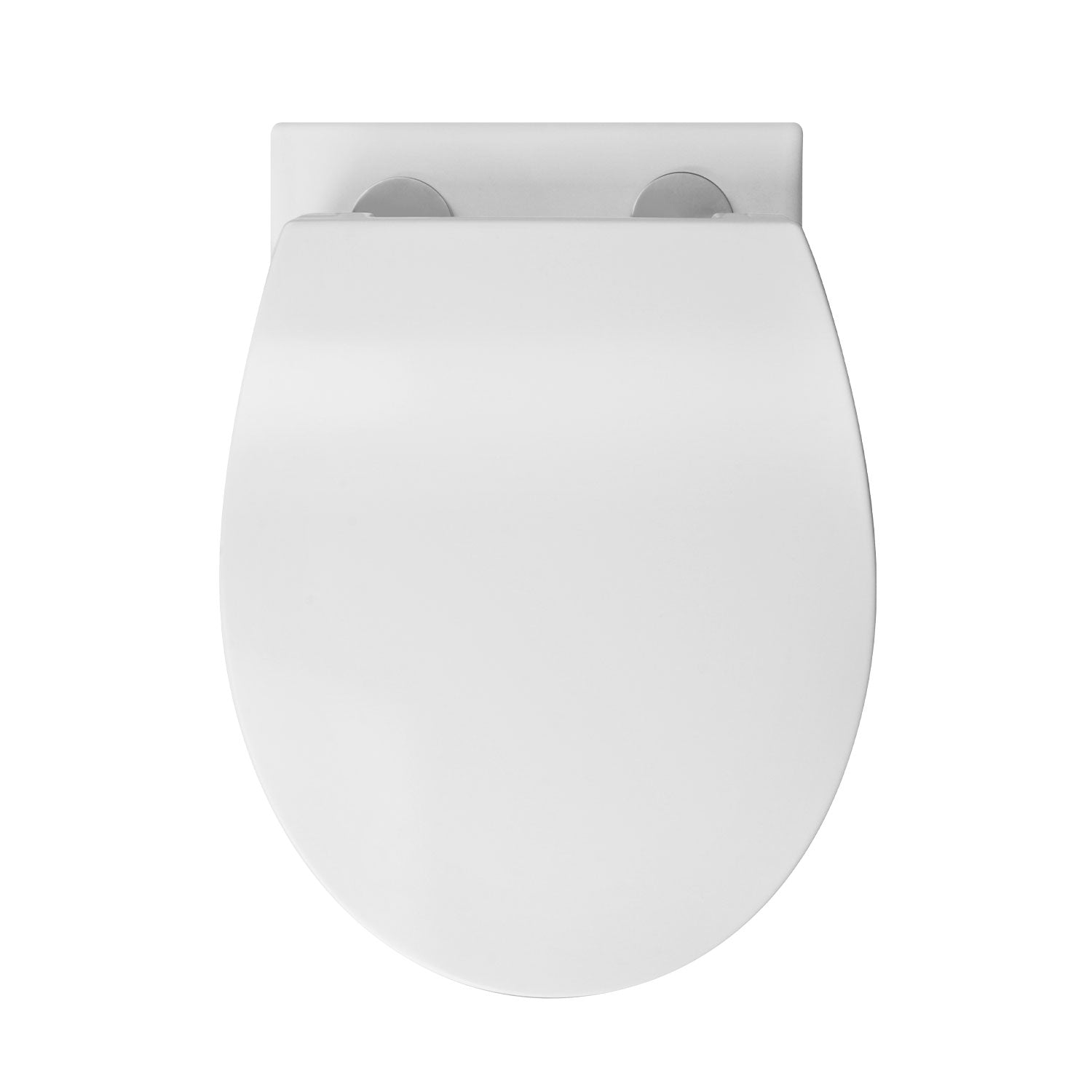 DeerValley Liberty 1.1/1.6GPF Dual-Flush Elongated White Wall-Mounted Toilet